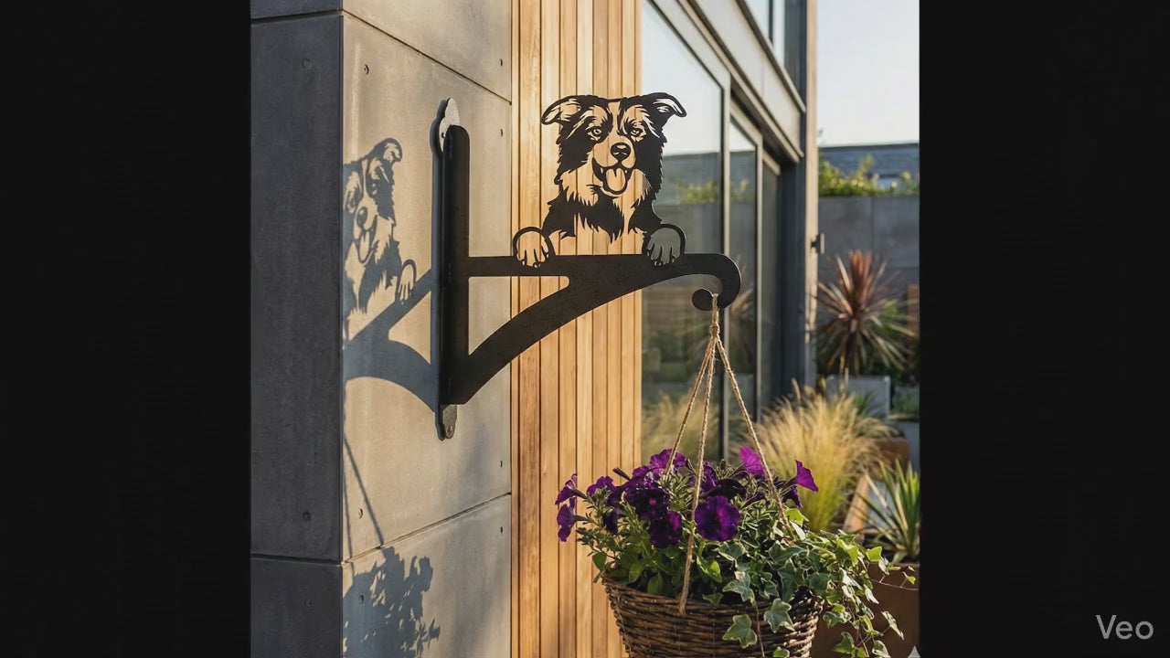 Hanging Basket Bracket Border Collie