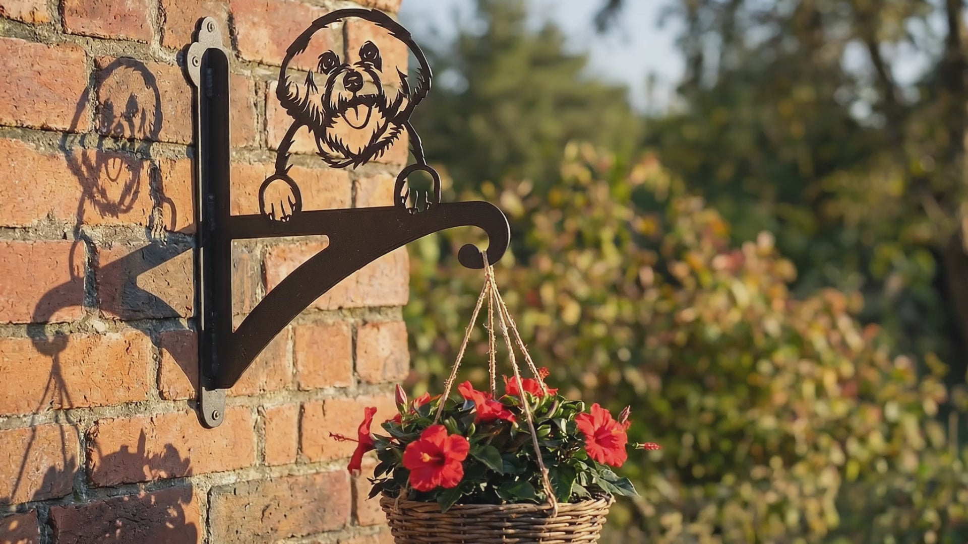 Hanging Basket Bracket Bichon Frise