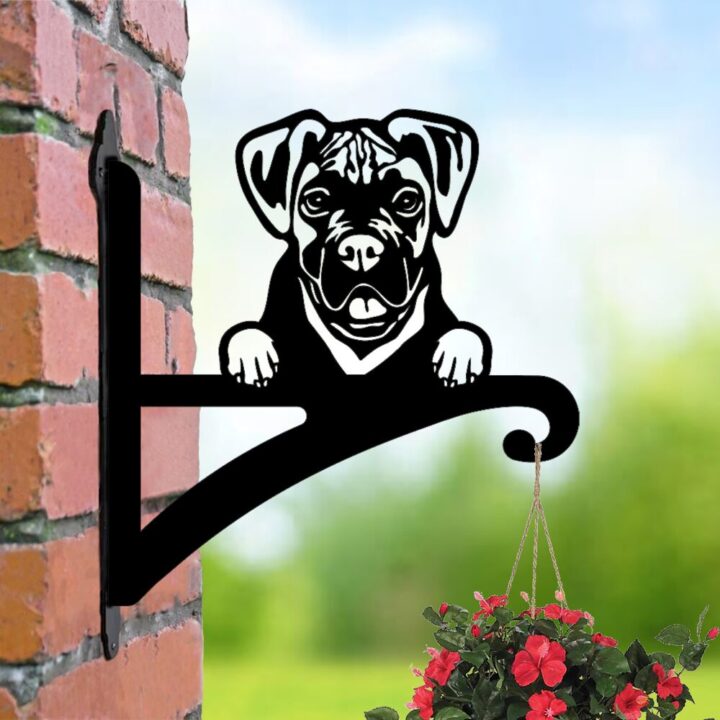 Laser hut hanging basket bracket boxer