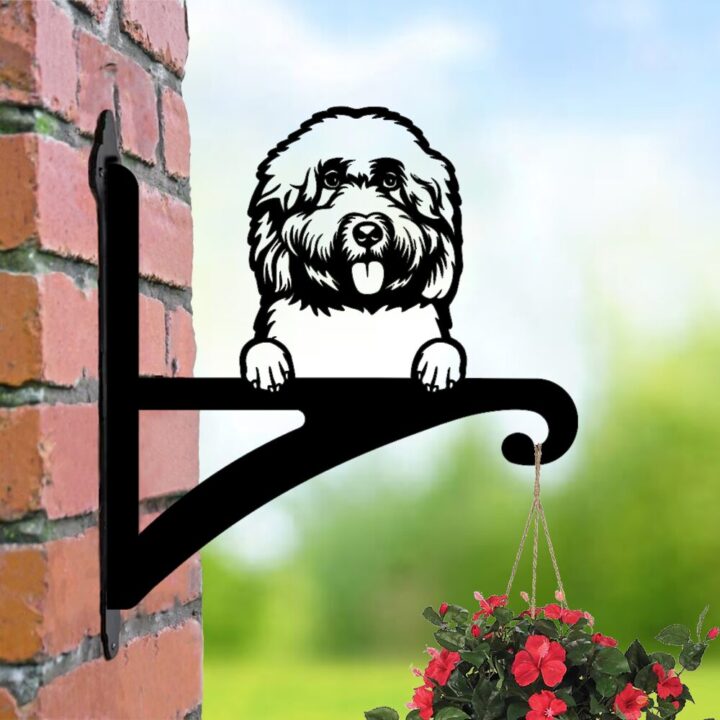 Laser hut hanging basket bracket cockapoo