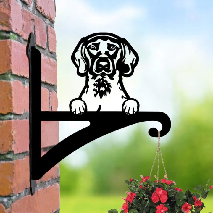 Laser hut hanging basket bracket pointer