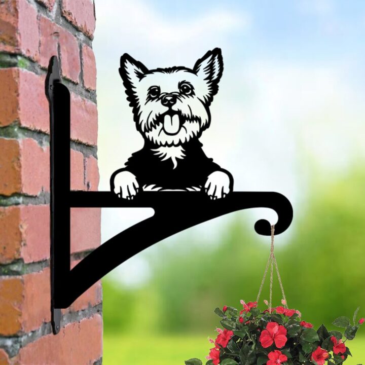 Laser hut hanging basket bracket yorkshire terrier